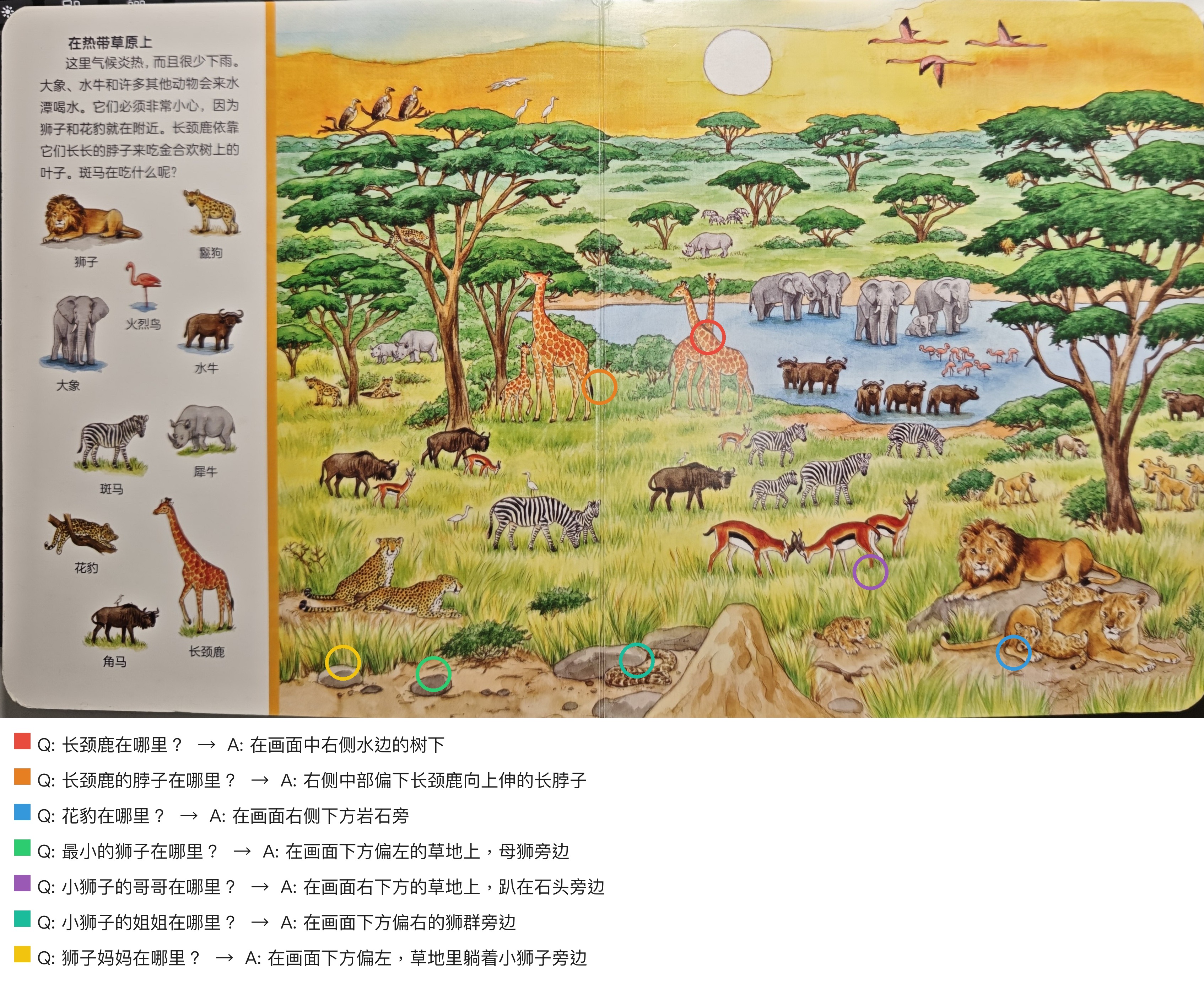GPT5.5-草原结果