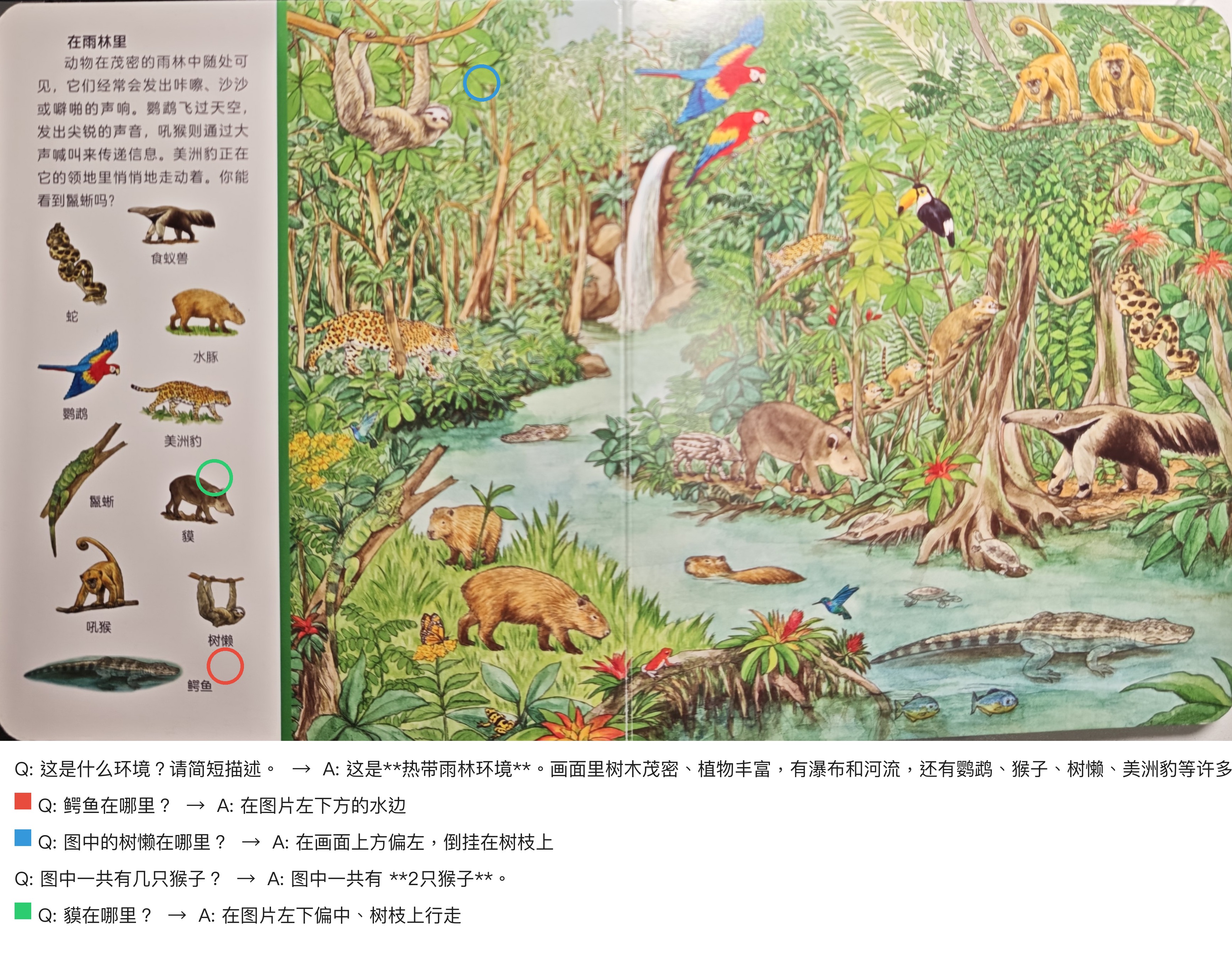GPT5.5-雨林结果